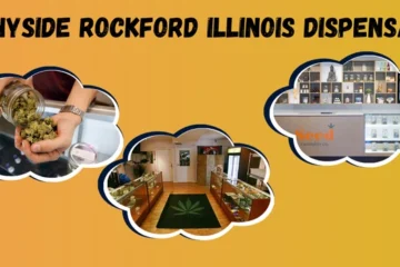 Sunnyside Rockford Illinois Dispensary